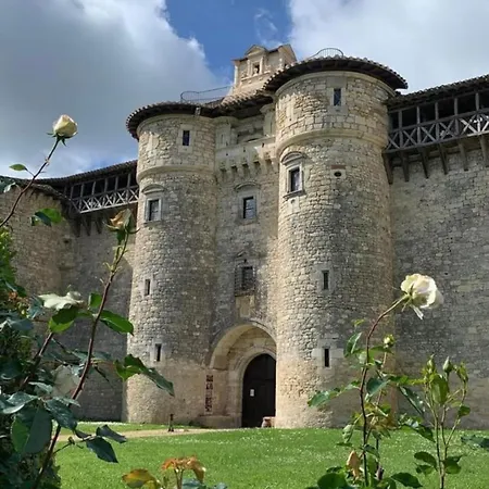 Puechblanc Gites Et Chambre D'Hote Dans Le Triangle D'Or Gaillac-Albi-Cordes Sur Ciel Fayssac Exterior photo