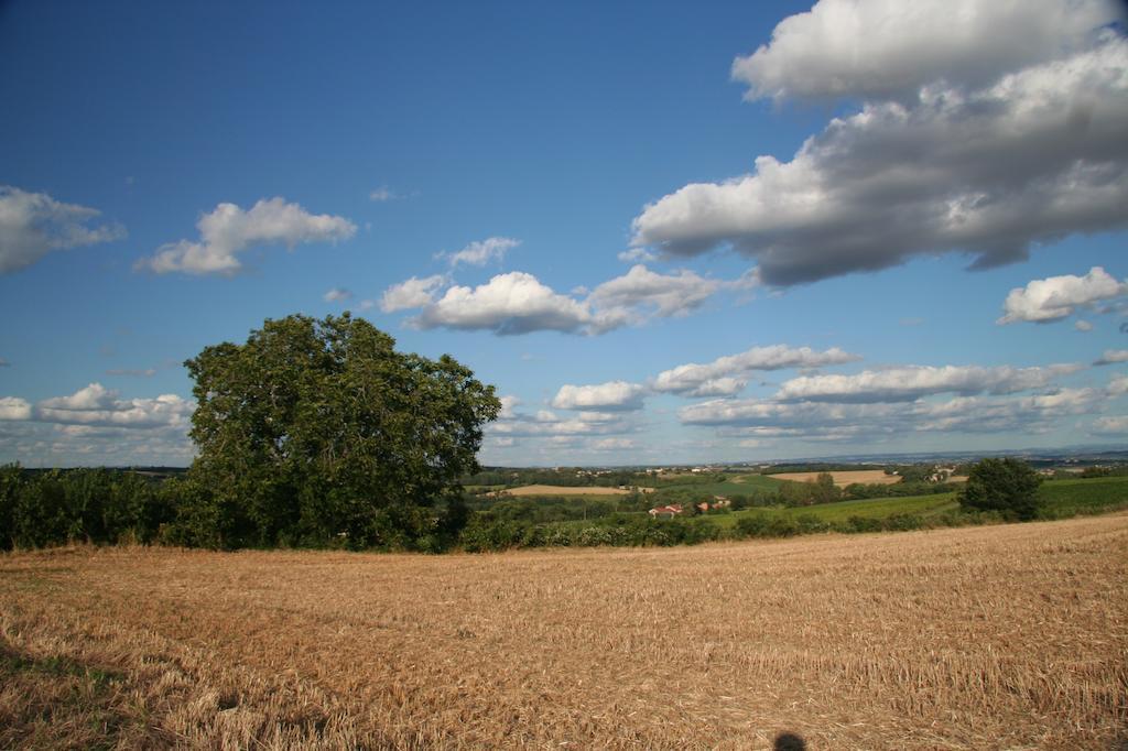 Puechblanc Et D'hote Dans Le Triangle D'or Gaillac-albi-cordes Sur Ciel Country house